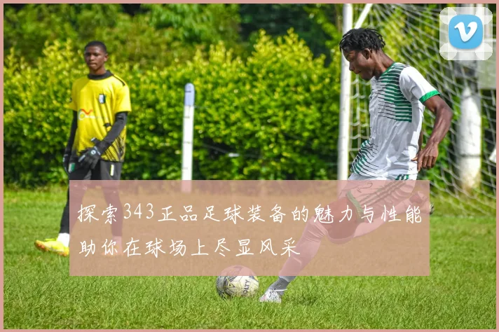 探索343正品足球装备的魅力与性能助你在球场上尽显风采