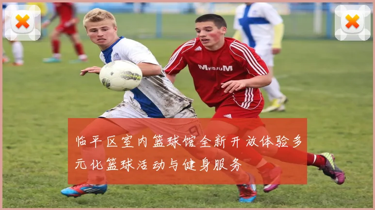临平区室内篮球馆全新开放体验多元化篮球活动与健身服务