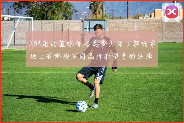 NBA用的篮球价格是多少你了解吗市场上有哪些不同品牌和型号的选择