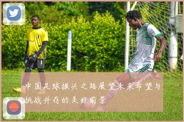 中国足球振兴之路展望未来希望与挑战并存的美好前景