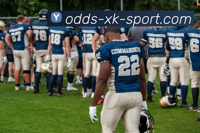 星空下载品牌故事