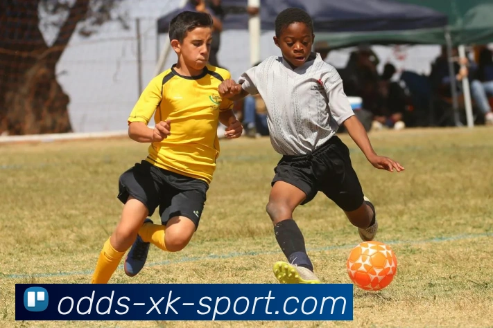 星空下载服务体系